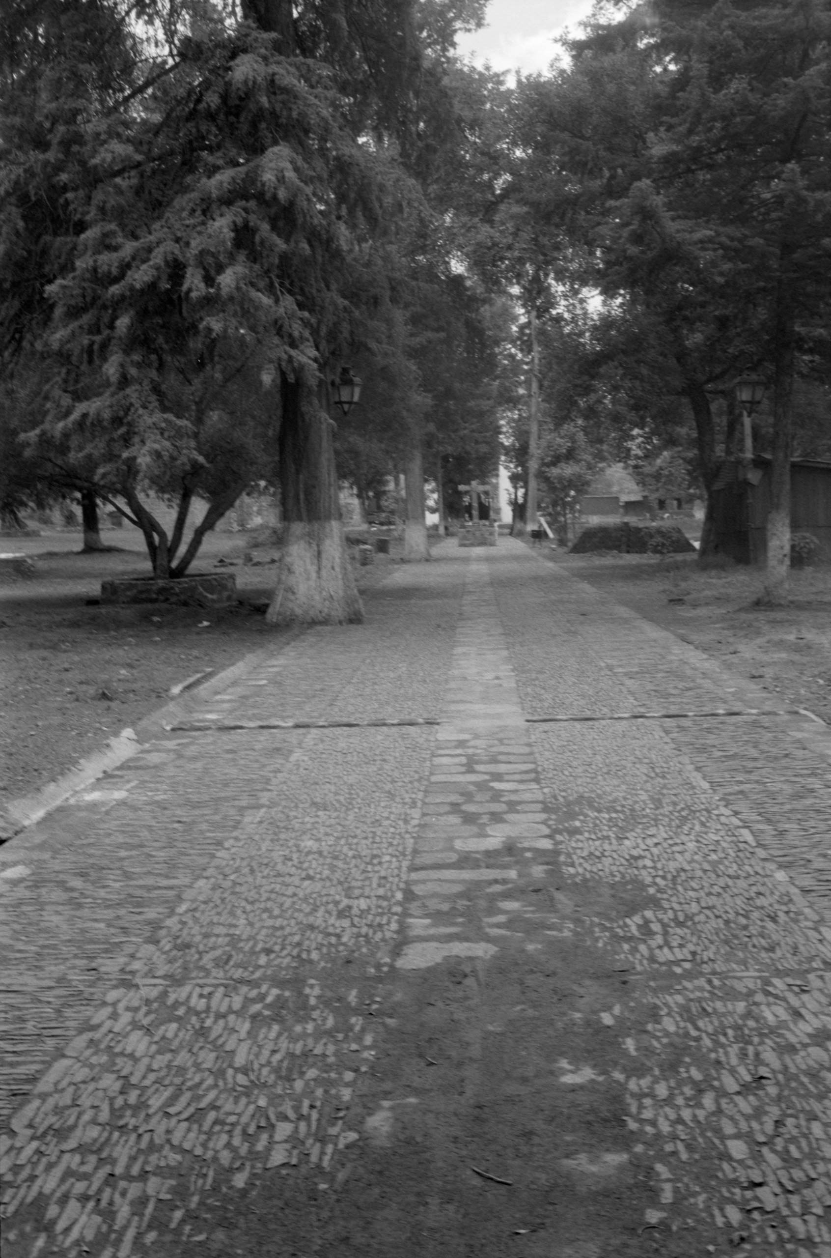 AHP FilmScan 240807 0467